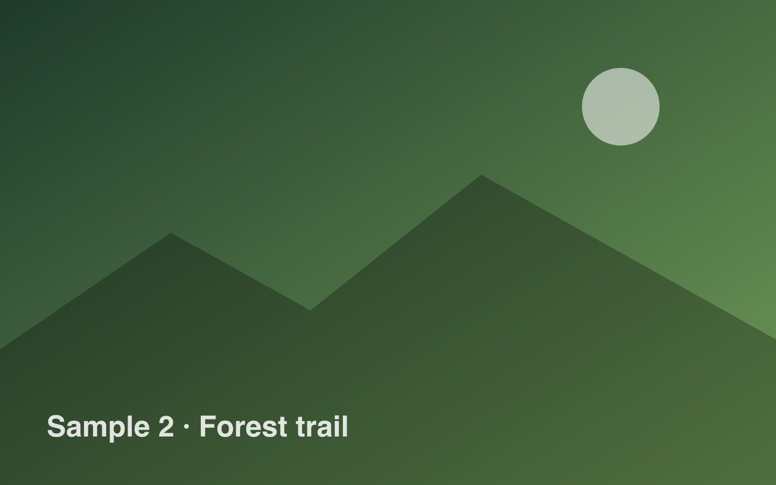 Forest trail sample